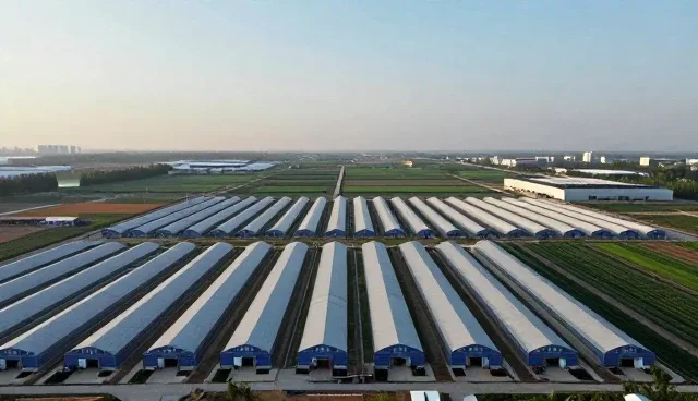 公众号开发套餐在企业服务中的实际应用分析